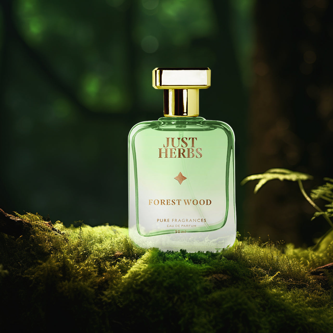 Energising Forest Wood - 50 ml