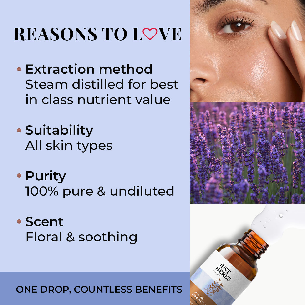 Lavender Essential Oil