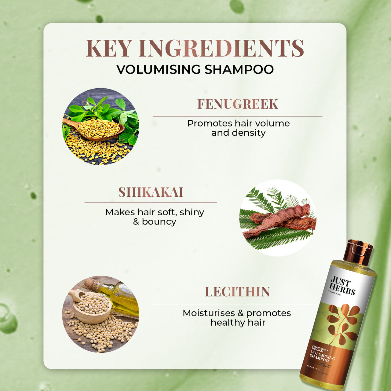 Ayurvedic Hair Volumising Kit