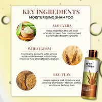 Thumbnail for Ayurvedic Frizz & Dry Hair Kit