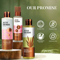 Thumbnail for Ayurvedic Frizz & Dry Hair Kit