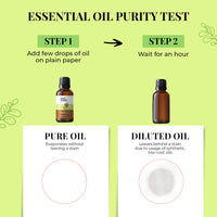 Thumbnail for Eucalyptus Essential Oil